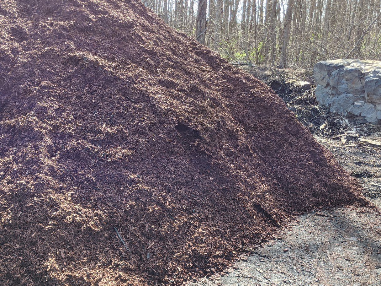 00000IMG_00000_BURST20200415100532894_COVER Large pile of brown shredded mulch outdoors near a wooded area, with natural light highlighting the texture of the mulch.